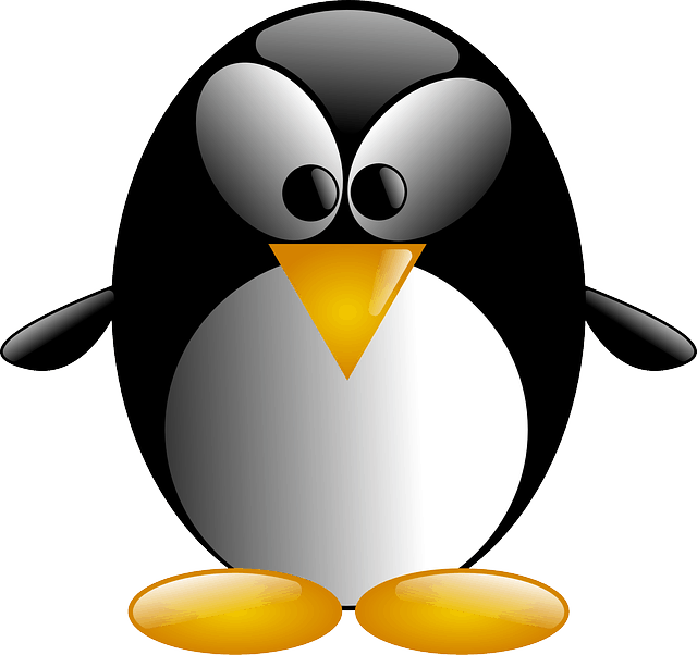 פינגווין של גוגל - PENGUIN
